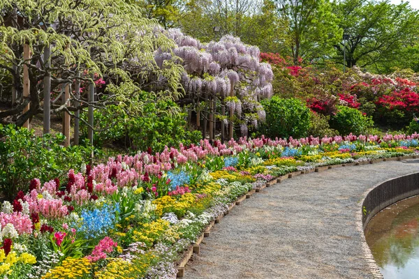 栃木県足利フラワーパークで春の晴れの日に色とりどりの色とりどりの花の見頃 日本の有名な旅行先 — ストック写真