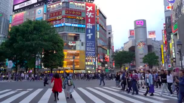 Wandelen op Shibuya Crossing in de avond (4k UHD). Hier is een van de drukste kruistochten in de wereld. Uitzicht op voetgangerszebrapad in Shibuya district op normale snelheid. Tokio, Japan-4 mei 2019 — Stockvideo