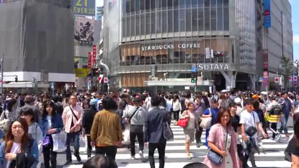 낮에 시부야 횡단에서 산책 (4k Uhd). 시부야 크로싱은 세계에서 가장 붐비는 횡단보도 중 하나입니다. 시부야 지구 정상 속도에서 보행자 횡단 보도의 전망. 일본 도쿄 - 2019년 5월 4일 — 비디오