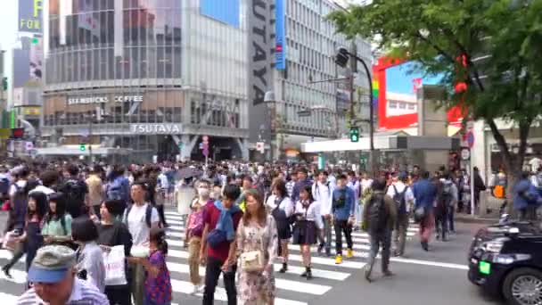 Tokyo, Japonya - 4 Mayıs 2019 : Shibuya Geçidi'nde gündüz yürüyen yaya ( 4k Uhd ). kamera sağdan sola normal hızda kaydırma — Stok video