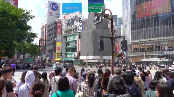 Токио, Япония - 4 мая 2019 года: Закрыть пешеходам дорогу в ожидании светофора на Сибуя в дневное время (4K UHD). камера панорамирование слева направо, селективное фокусирование нормальной скорости — стоковое видео
