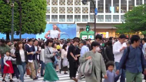 Tóquio, Japão - 4 de maio de 2019: Fechar Caminhada pedestre em Shibuya Crossing em horário diurno (4K UHD). Câmera tiro longo velocidade normal — Vídeo de Stock