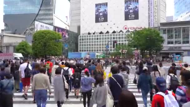 Gyaloglás Shibuya Crossing Nappali Uhd Time Lapse Tekintettel Gyalogosok Crosswalk — Stock videók