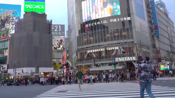 Pedoni Che Camminano Sul Centro Shibuya Attraversando Serata Uhd Uno — Video Stock