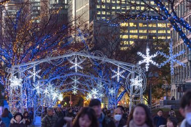 Osaka, Japonya - 14 Aralık 2018 : Osaka Işıklar Festivali. Kış aydınlatma olayları, Midosuji Aydınlatma ve Hikari Rönesans. popüler turistik, tatil için seyahat hedef