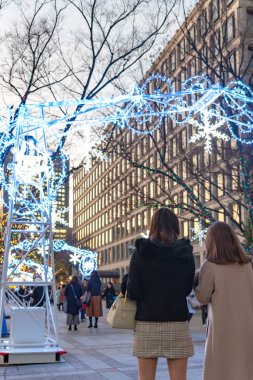 Osaka, Japonya - 14 Aralık 2018 : Osaka Işıklar Festivali. Kış aydınlatma olayları, Midosuji Aydınlatma ve Hikari Rönesans. popüler turistik, tatil için seyahat hedef
