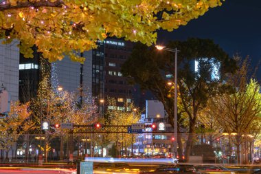 Osaka, Japonya - 14 Aralık 2018 : Osaka Işıklar Festivali. Kış aydınlatma olayları, Midosuji Aydınlatma ve Hikari Rönesans. popüler turistik, tatil için seyahat hedef