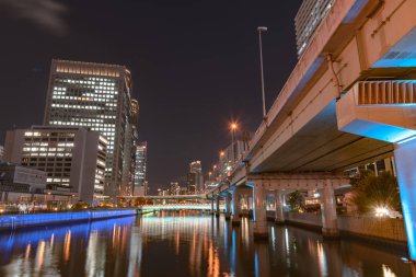 Osaka, Japonya - 14 Aralık 2018 : Osaka Işıklar Festivali. Kış aydınlatma olayları, Midosuji Aydınlatma ve Hikari Rönesans. popüler turistik, tatil için seyahat hedef