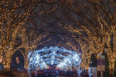 Osaka, Japonya - 14 Aralık 2018 : Osaka Işıklar Festivali. Kış aydınlatma olayları, Midosuji Aydınlatma ve Hikari Rönesans. popüler turistik, tatil için seyahat hedef
