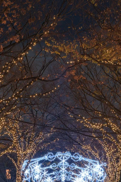 Osaka, Japón - 14 dic 2018: Festival de las Luces en Osaka. The winter illumination events, Midosuji Illumination and Hikari Renaissance. popular atracción turística, destino de viaje para vacaciones — Foto de Stock