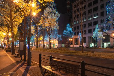 Osaka, Japonya - 14 Aralık 2018 : Osaka Işıklar Festivali. Kış aydınlatma olayları, Midosuji Aydınlatma ve Hikari Rönesans. popüler turistik, tatil için seyahat hedef