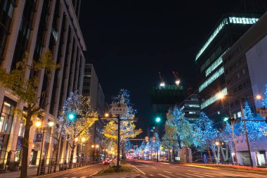 Osaka, Japonya - 14 Aralık 2018 : Osaka Işıklar Festivali. Kış aydınlatma olayları, Midosuji Aydınlatma ve Hikari Rönesans. popüler turistik, tatil için seyahat hedef