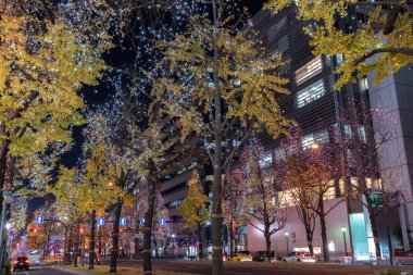 Osaka, Japonya - 14 Aralık 2018 : Osaka Işıklar Festivali. Kış aydınlatma olayları, Midosuji Aydınlatma ve Hikari Rönesans. popüler turistik, tatil için seyahat hedef