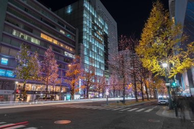 Osaka, Japonya - 14 Aralık 2018 : Osaka Işıklar Festivali. Kış aydınlatma olayları, Midosuji Aydınlatma ve Hikari Rönesans. popüler turistik, tatil için seyahat hedef