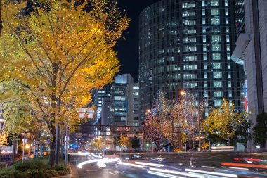 Osaka, Japonya - 14 Aralık 2018 : Osaka Işıklar Festivali. Kış aydınlatma olayları, Midosuji Aydınlatma ve Hikari Rönesans. popüler turistik, tatil için seyahat hedef
