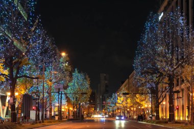 Osaka, Japonya - 14 Aralık 2018 : Osaka Işıklar Festivali. Kış aydınlatma olayları, Midosuji Aydınlatma ve Hikari Rönesans. popüler turistik, tatil için seyahat hedef