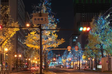 Osaka, Japonya - 14 Aralık 2018 : Osaka Işıklar Festivali. Kış aydınlatma olayları, Midosuji Aydınlatma ve Hikari Rönesans. popüler turistik, tatil için seyahat hedef