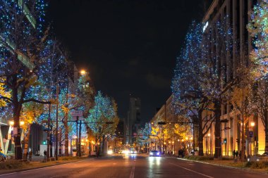 Osaka, Japonya - 14 Aralık 2018 : Osaka Işıklar Festivali. Kış aydınlatma olayları, Midosuji Aydınlatma ve Hikari Rönesans. popüler turistik, tatil için seyahat hedef