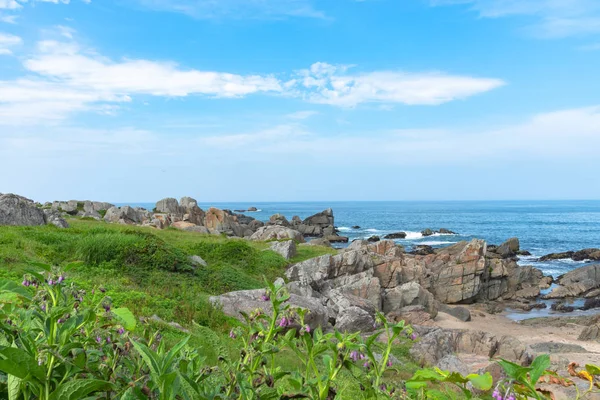 Hermosa costa de Tanesashi Kaigan. La costa incluye playas arenosas y rocosas, y prados herbosos vistas panorámicas — Foto de Stock