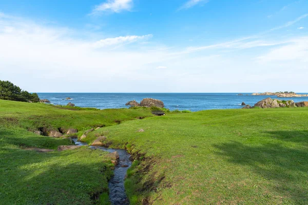 Prachtige Tanesashi kaigan kust. De kustlijn omvat zowel zand-als rotsachtige stranden en grazige weiden met een schilderachtig uitzicht — Stockfoto