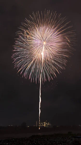 Kijelző Színes Tűzijáték Nagyon Szép — Stock Fotó