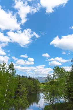 Göl kenarında güzel orman dağ manzarası, doğa manzara. Güneşli gün yaz saatinde arka planda dağlar ve mavi gökyüzü ile ön planda Ağaçlar