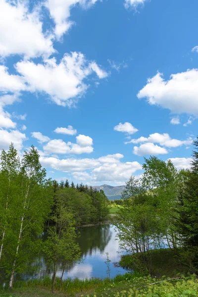 湖畔の美しい森の山の風景、自然の風景。晴れた日の夏の時間に背景に山と青空と前景の木 — ストック写真