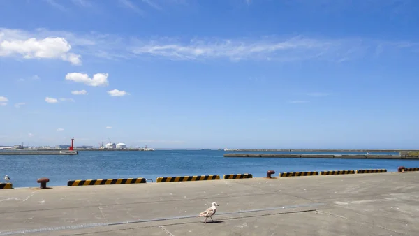 Aomori, Japonia. 08 sierpnia 2016: Hachinohe miasto pierwszy Targ rybny w prefekturze Aomori, Japonia — Zdjęcie stockowe