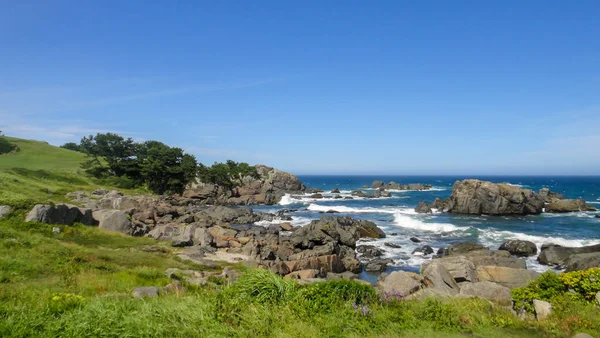 Aomori, Japonya. 08 Ağustos 2016 : Tanesashi kaigan Sahili. Sahil şeridi hem kumlu hem de kayalık plajlar ve çimenli çayırlar manzaralıdır. Hachinohe, Aomori, Japonya