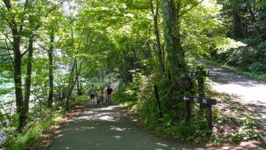 Akita, Japonya - 11 Ağustos 2016 : Shirakami-Sanchi dağlık bölgesinde Juniko Oniki Gölleri. Tohoku bölgesinde Unesco Dünya Mirası. Aomori Prefecture, Japonya