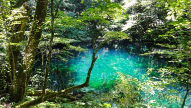 Akita, Japonya - 11 Ağustos 2016 : Shirakami-Sanchi dağlık bölgesinde Juniko Oniki Gölleri. Tohoku bölgesinde Unesco Dünya Mirası. Aomori Prefecture, Japonya