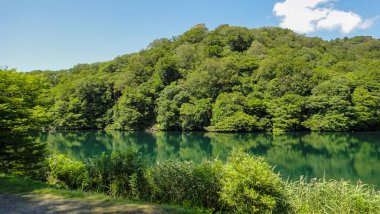 Akita, Japonya - 11 Ağustos 2016 : Shirakami-Sanchi dağlık bölgesinde Juniko Oniki Gölleri. Tohoku bölgesinde Unesco Dünya Mirası. Aomori Prefecture, Japonya