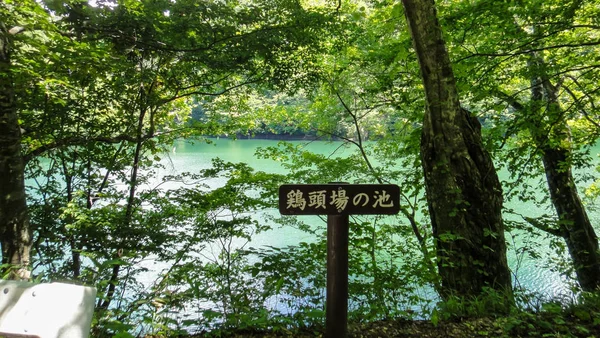 Akita, Japan - Aug 11, 2016 : Juniko Twelve Lakes in the Shirakami-Sanchi mountainous area. A UNESCO World Heritage Site in the Tohoku region. Aomori Prefecture, Japan — Stock Photo, Image