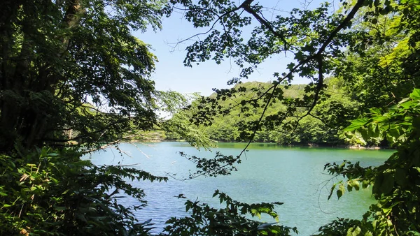 Akita, Japon - 11 août 2016 : Juniko Douze lacs dans la région montagneuse de Shirakami-Sanchi. Site classé au patrimoine mondial de l'UNESCO dans la région de Tohoku. Préfecture d'Aomori, Japon — Photo