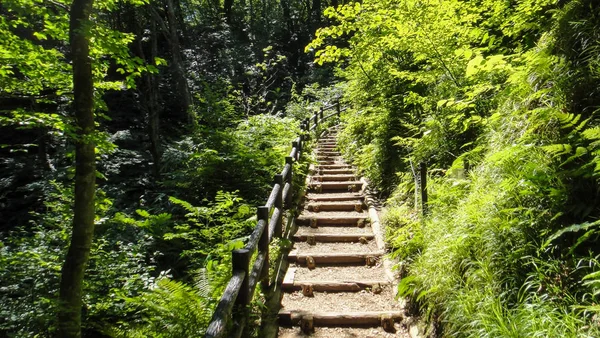 Akita, Japón - 11 de agosto de 2016: Juniko Doce Lagos en la zona montañosa de Shirakami-Sanchi. Patrimonio de la Humanidad por la UNESCO en la región de Tohoku. Prefectura de Aomori, Japón — Foto de Stock