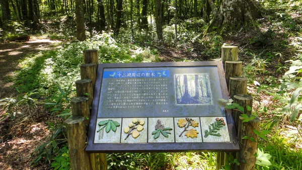 Akita, Japón - 11 de agosto de 2016: Juniko Doce Lagos en la zona montañosa de Shirakami-Sanchi. Patrimonio de la Humanidad por la UNESCO en la región de Tohoku. Prefectura de Aomori, Japón — Foto de Stock