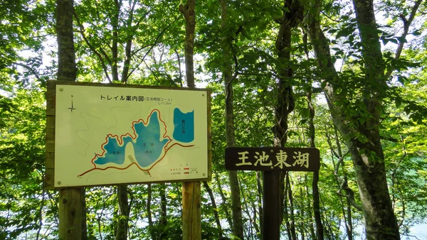 아키타, 일본 - 2016년 8월 11일 : 시라카미 산치 산악지대의 주니코 12호. 도호쿠 지방의 유네스코 세계 문화 유산. 일본 아오모리현 — 스톡 사진