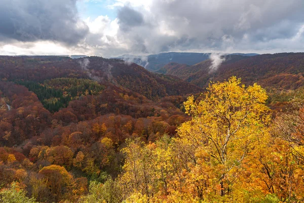 Herfst gebladerte landschap uitzicht, prachtige landschappen. Fall is vol met prachtige kleuren. Hele berg en vallei is badend in verschillende tinten van rood, oranje en gouden kleuren achtergrond — Stockfoto