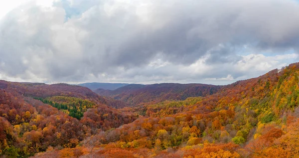 Осіннє листя краєвиди, красиві пейзажі. Осінь повна чудових кольорів. Ціла гора і долина купаються в різних відтінках червоного, помаранчевого і золотистого кольорів фону — стокове фото