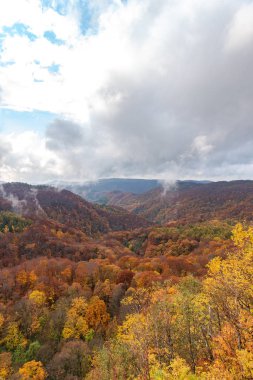 Sonbahar yeşillik manzara görünümü, güzel manzaralar. Sonbahar muhteşem renklerle doludur. Tüm dağ ve vadi kırmızı, turuncu ve altın renkteki arka planda farklı tonların içinde yıkanmış