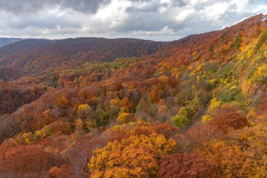 Sonbahar yeşillik manzara görünümü, güzel manzaralar. Sonbahar muhteşem renklerle doludur. Tüm dağ ve vadi kırmızı, turuncu ve altın renkteki arka planda farklı tonların içinde yıkanmış