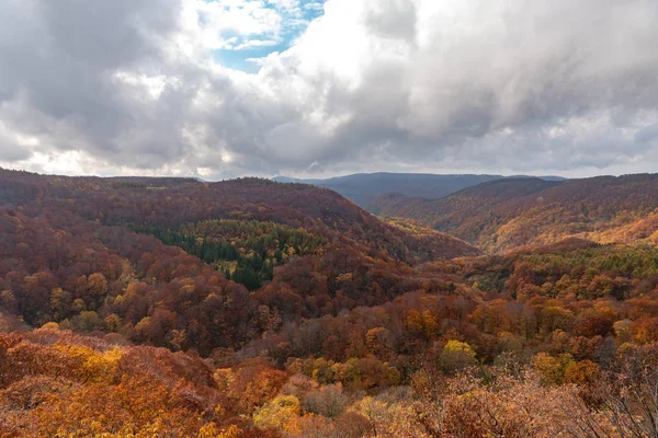 Herfst gebladerte landschap uitzicht, prachtige landschappen. Fall is vol met prachtige kleuren. Hele berg en vallei is badend in verschillende tinten van rood, oranje en gouden kleuren achtergrond — Stockfoto