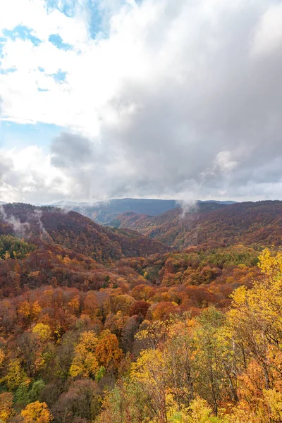 秋の紅葉風景、美しい風景。秋は壮大な色でいっぱいです。全体の山と谷は、赤、オレンジ、黄金色の背景の異なる色合いで浴びています — ストック写真