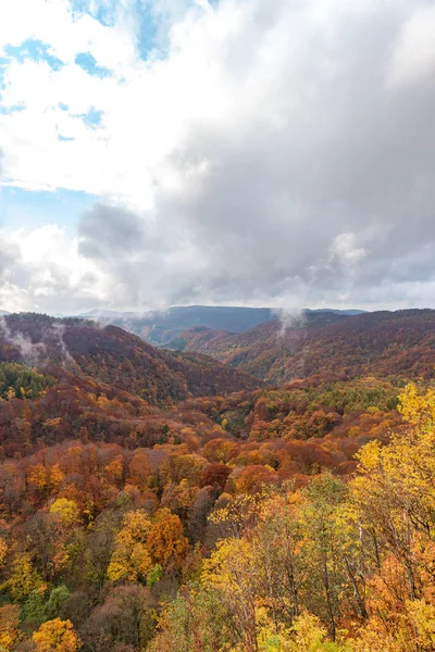 Autunno vista paesaggio fogliame, bei paesaggi. La caduta è piena di colori magnifici. Tutta la montagna e la valle è bagnata da diverse tonalità di rosso, arancio e oro colori di sfondo — Foto Stock