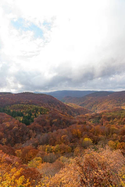 Autunno vista paesaggio fogliame, bei paesaggi. La caduta è piena di colori magnifici. Tutta la montagna e la valle è bagnata da diverse tonalità di rosso, arancio e oro colori di sfondo — Foto Stock