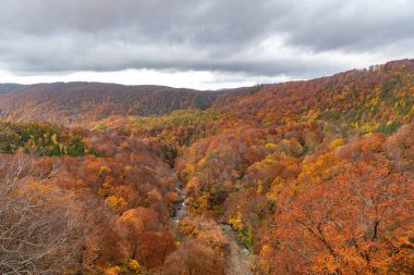 Sonbahar yeşillik manzara görünümü, güzel manzaralar. Sonbahar muhteşem renklerle doludur. Tüm dağ ve vadi kırmızı, turuncu ve altın renkteki arka planda farklı tonların içinde yıkanmış