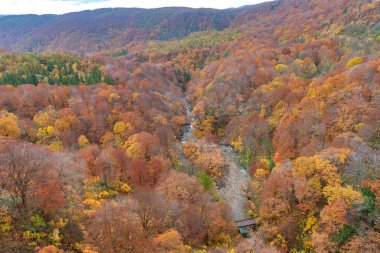 Sonbahar yeşillik manzara görünümü, güzel manzaralar. Sonbahar muhteşem renklerle doludur. Tüm dağ ve vadi kırmızı, turuncu ve altın renkteki arka planda farklı tonların içinde yıkanmış