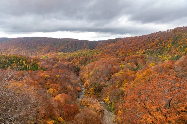 Vista de paisagem de folhagem de outono, belas paisagens. A queda está cheia de cores magníficas. Toda a montanha e vale é banhado em diferentes tons de vermelho, laranja e dourado cores de fundo — Fotografia de Stock