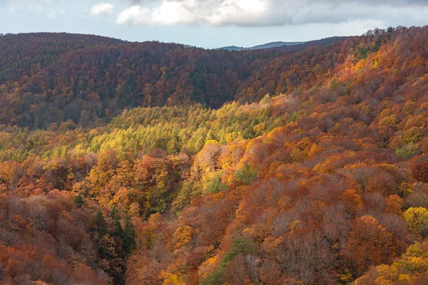 Herfst gebladerte landschap uitzicht, prachtige landschappen. Fall is vol met prachtige kleuren. Hele berg en vallei is badend in verschillende tinten van rood, oranje en gouden kleuren achtergrond — Stockfoto