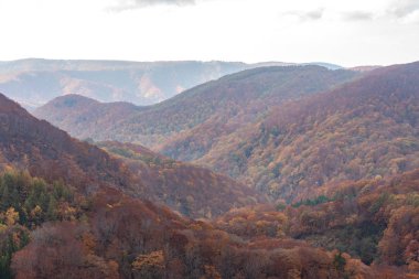Sonbahar yeşillik manzara görünümü, güzel manzaralar. Sonbahar muhteşem renklerle doludur. Tüm dağ ve vadi kırmızı, turuncu ve altın renkteki arka planda farklı tonların içinde yıkanmış